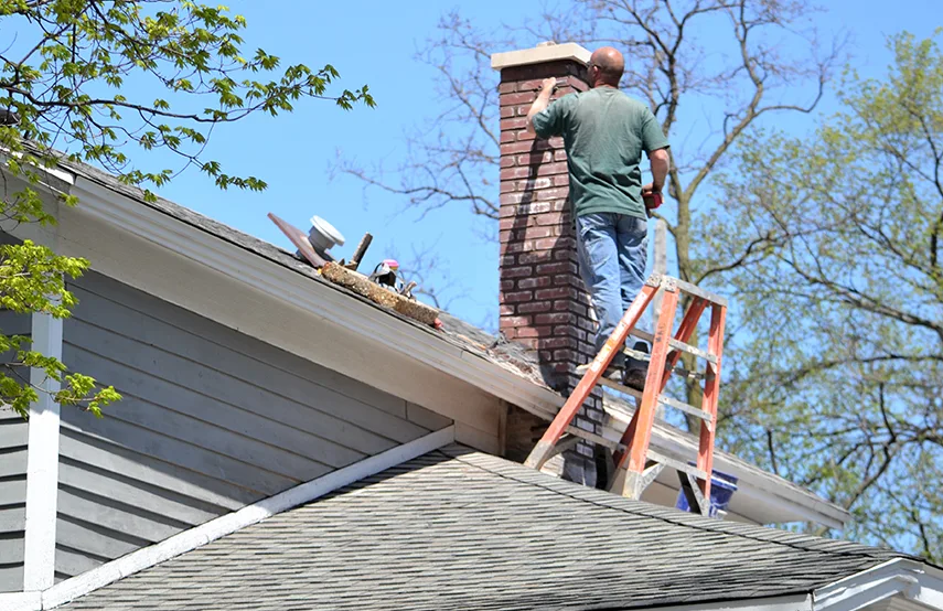 Chimney & Fireplace Inspections Services in Sterling, VA
